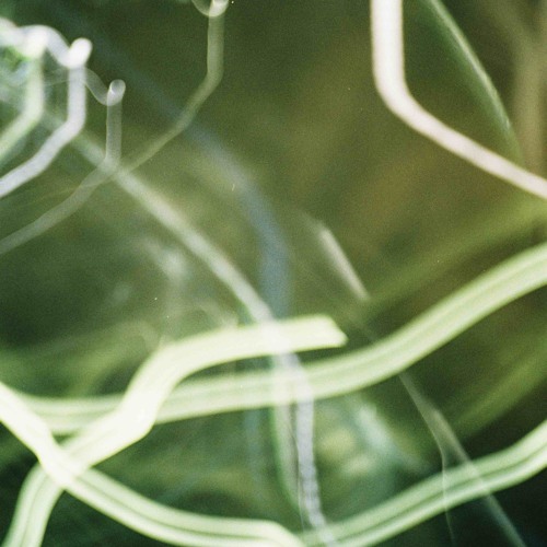 frequencies of nowhere