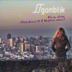Allein, alene (Polarkreis 18 & Nephew cover)