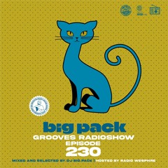 Big Pack presents Grooves Radioshow 230