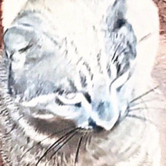 bodies! (prod. August Frey)