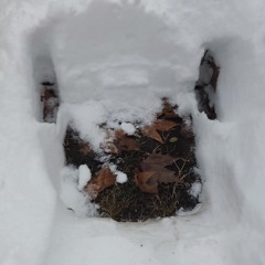 Energia Funker- Hip...