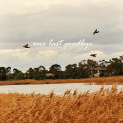 one last goodbye ft. cam szn (prod. sk8miles X Jeid.)