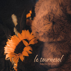 le tournesol