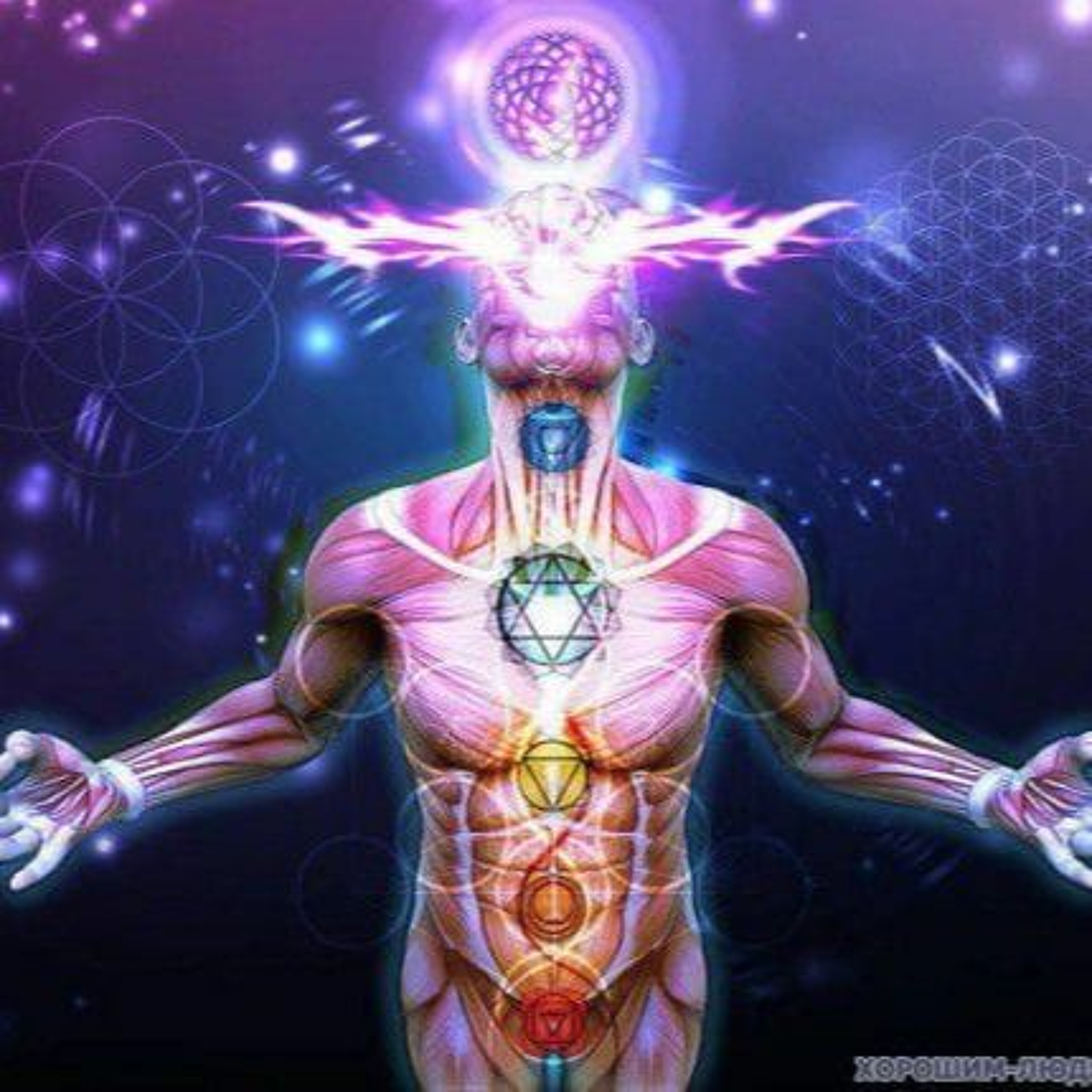 SuNdokan (Lucid Mind/PersianPsyTech)