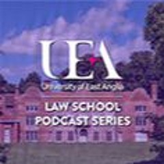 The challenges that UN treaty bodies face | Guest Dr Rosana Garciandia Garmendia