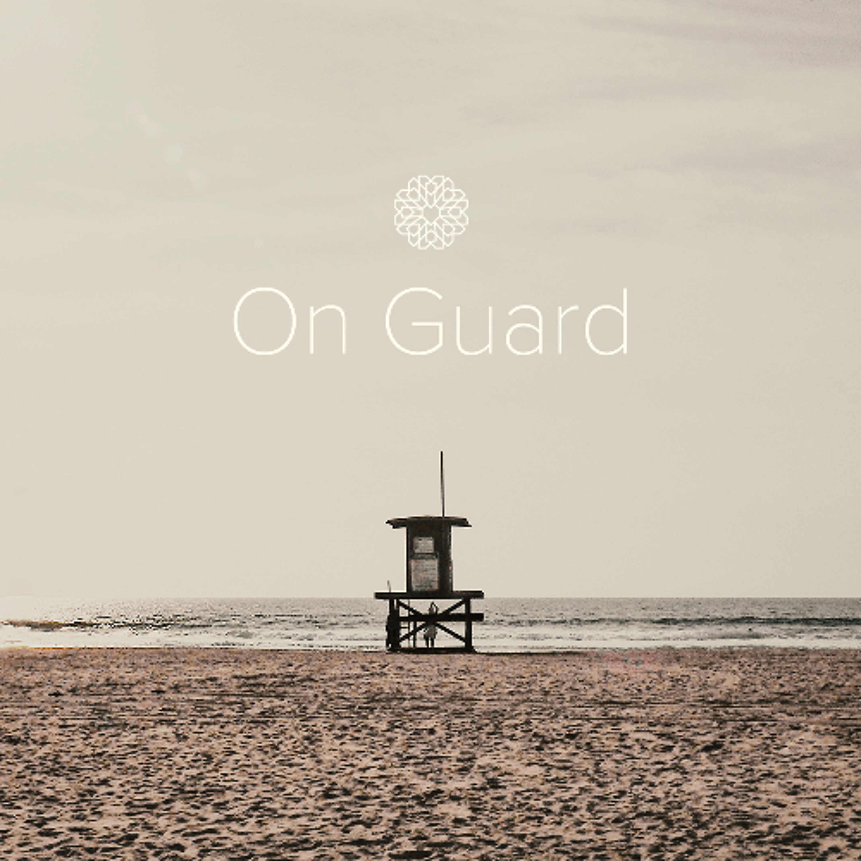 Episode 4.4 | On Guard