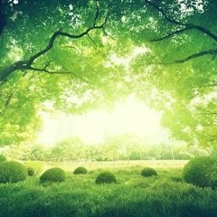 Mi Esperanza Es Tu Amor - Phantom Joyce