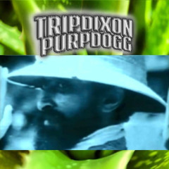 TRIP DIXON - Tellem We Dont Care Wah Ppl Say W. Black Kray