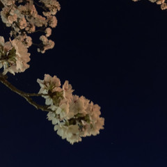 Link Shit  ft.baby Keith (prod.Newera)