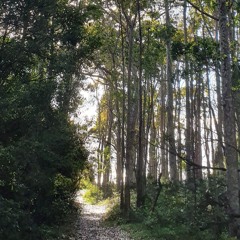 Hunger And Thirst For Righteousness