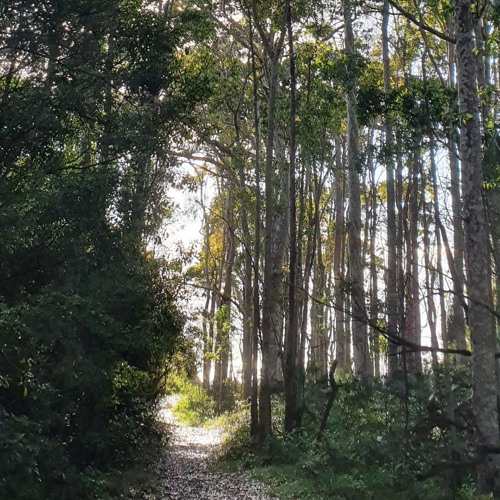 Hunger And Thirst For Righteousness