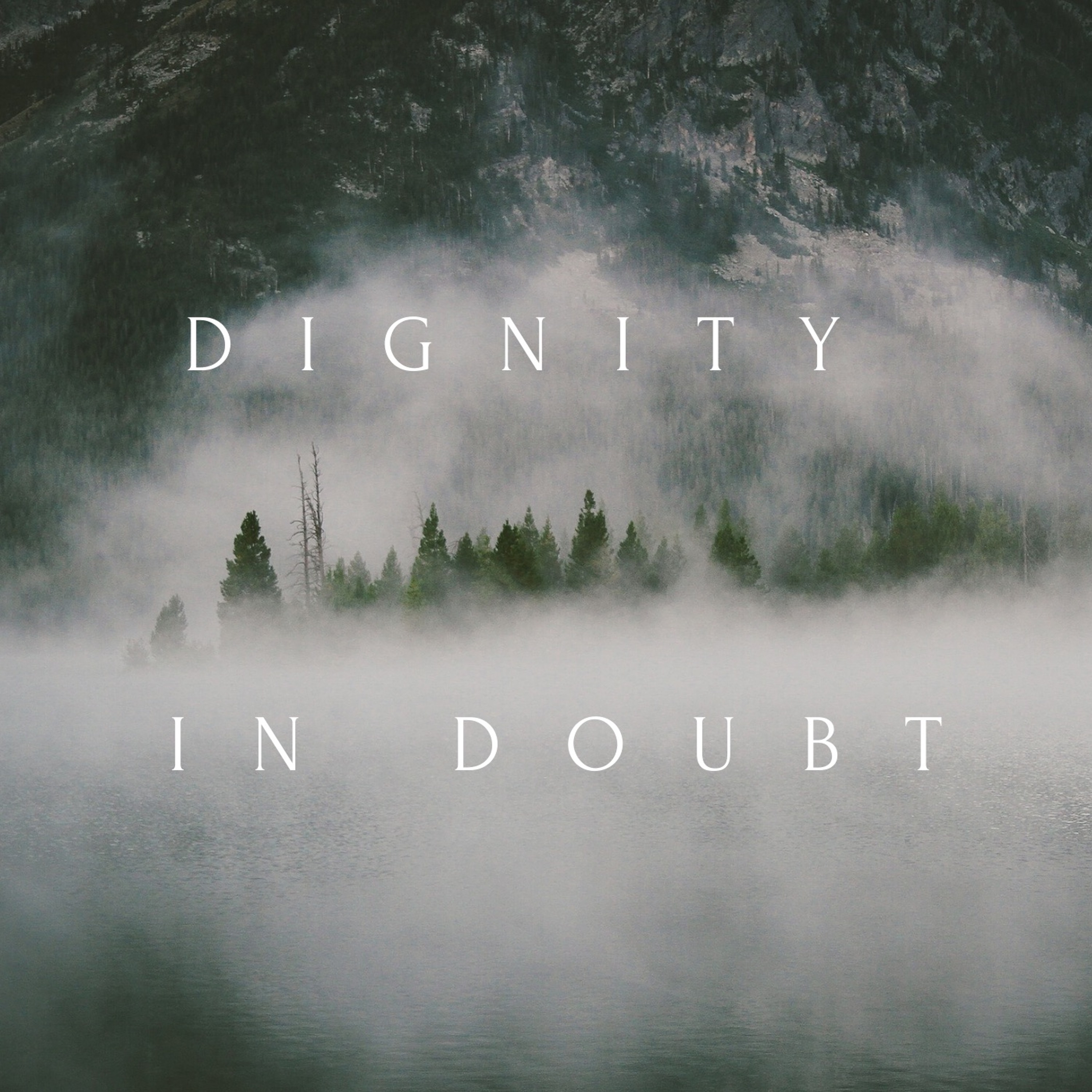 Dignity In Doubt - David A episode artwork