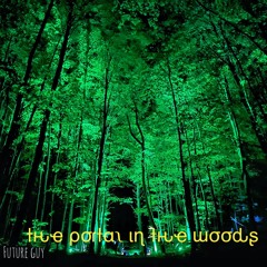 The Portal In The Woods @DEEP PLAYA  VT  5.16.21