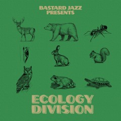 Stream Bastard Jazz | Listen to Lord Echo vs. DJ Day - Bohemian