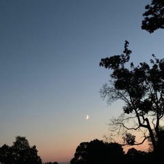 Midwest Night w/☆ICANTWAKEUP☆ (prod. Splashgvng)