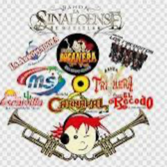 Los Groups y Bandas Se Juntan De Nuevo En Vivo 1