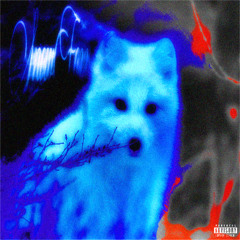 snowfoxx prod tiresss & me