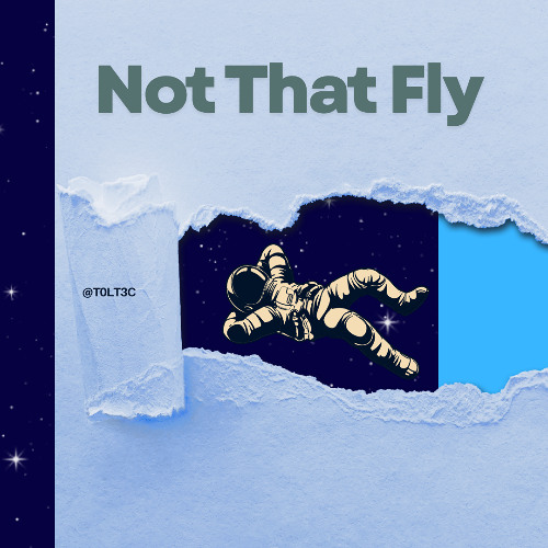Not that Fly
