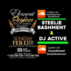 SUN FEB 13 BIRTHDAY PROMO STEELIEBASHMENT DJ ACTIVE