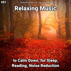 Relaxing Music Pt. 27