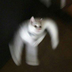 dON't ToUchh FreEsTyLE