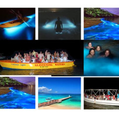Review Special Price Mystic Luminescent Lagoon Night Cruise Swim In Jamaica