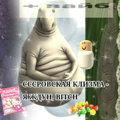 Я ЖДУН, BITCH