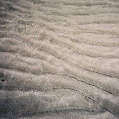 THREADS BY JOSEPH SHABASON