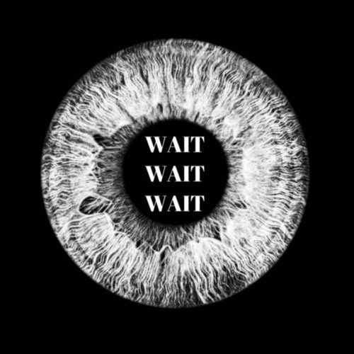 WAIT WAIT WAIT (prod. Woodpecker)