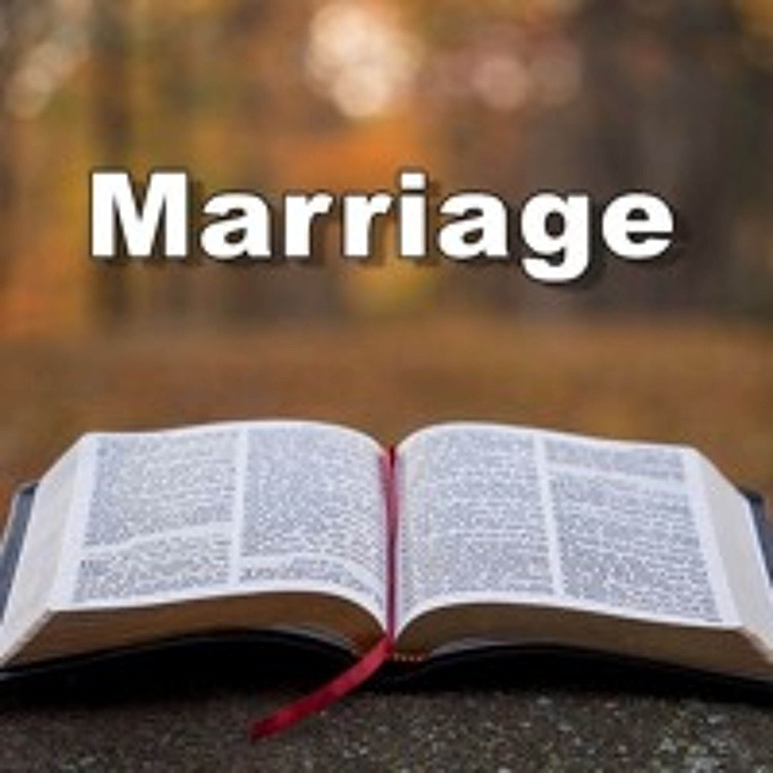 Our Father's Will for Marriage (Part 1) episode artwork