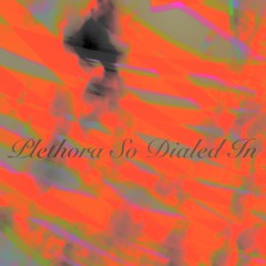 Plethora so dialed in