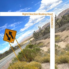 Right Direction Beating Heart (Instrumental Snippet)