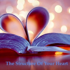 the structure of your heart