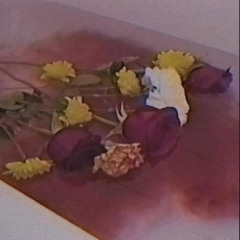 Hay Flores Flotando en el Agua