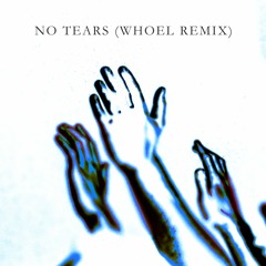 Zorz - No Tears (Whoel Remix) (FREE DL)