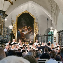 Nattens djupa violoncell for mixed choir