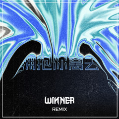 TECHNO拥抱你离去-(WiNNER REMIX)