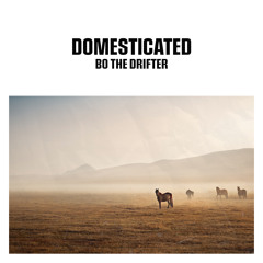 Domesticated (Instrumental Version)