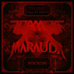 Eptic & Marauda - Wall of Death x Marauda & Trampa - Ruckus (sleep edit)