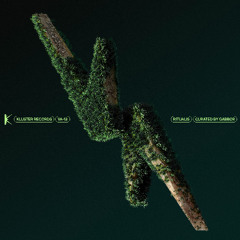 ✧ peachlyfe - Not Metal, Ceramic [KLST21]