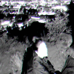 Disappearances