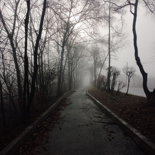 fantasy (Eng. Version)