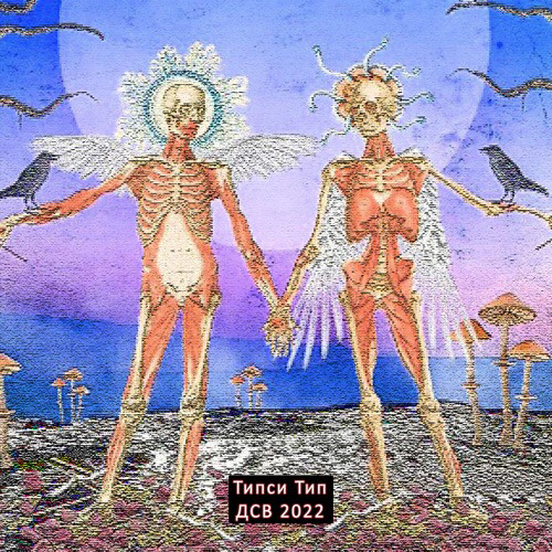 Типси Тип - Дсв 2022