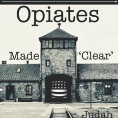 ⚡Ebook✔ Hitlers New Shower: Opiates Made Clear
