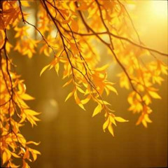 Dj.DamianR - Hojas en los jardines (Poems by Roma Lemańska)