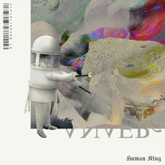 DJ Wanderverein - ROCKS [HK25]