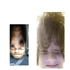 falconia w/ oil (rexpy)