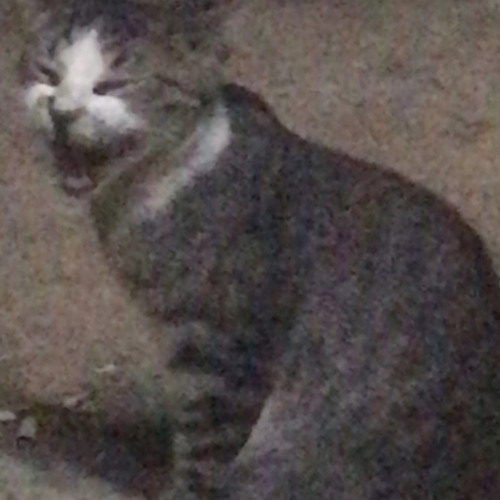 ‎⁨ وين رفيقي اه يادنيا⁩