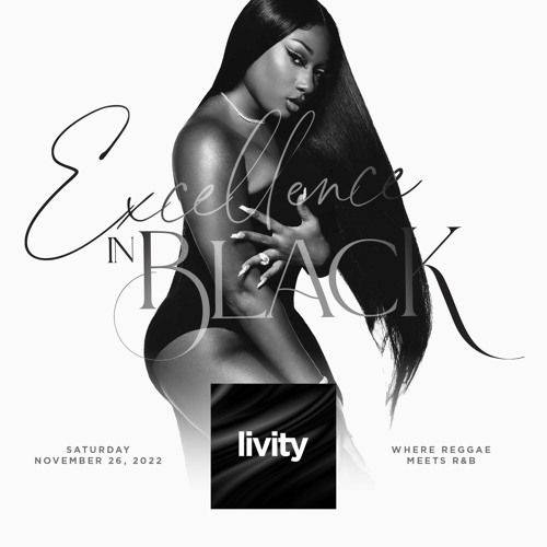 LIVITY: EXCELLENCE IN BLACK - SATURDAY NOVEMBER 26 2022