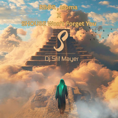 RBØR Isoma x SHOUSE Won't Forget You (Stif Mayer Mashup)